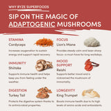 RYZE Mushroom Chai Starter Bag - SZIO