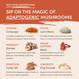 Mushroom Coffee (1 pack - 30 Servings) - NZU2