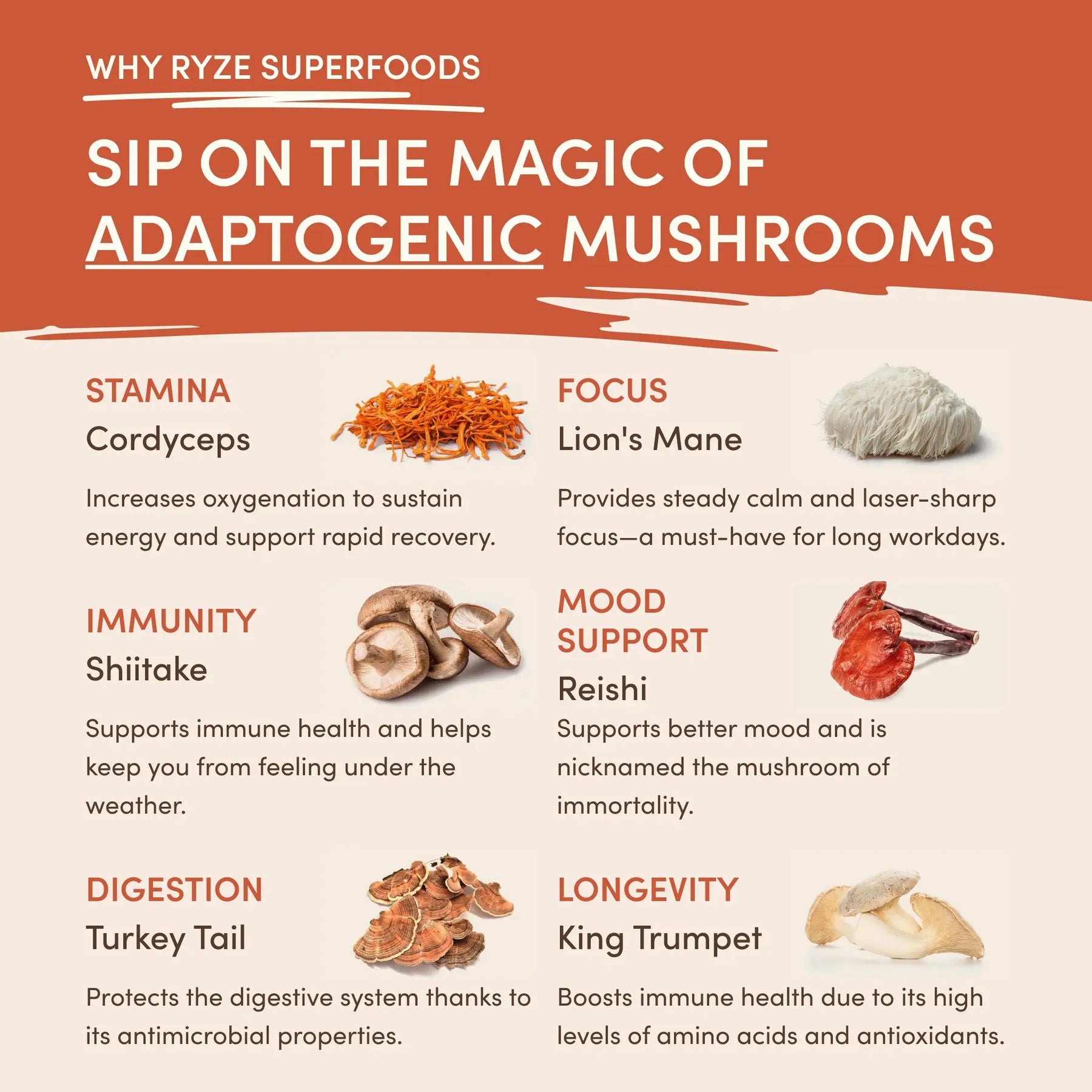 Mushroom Coffee (1 pack - 30 Servings) - NZU2