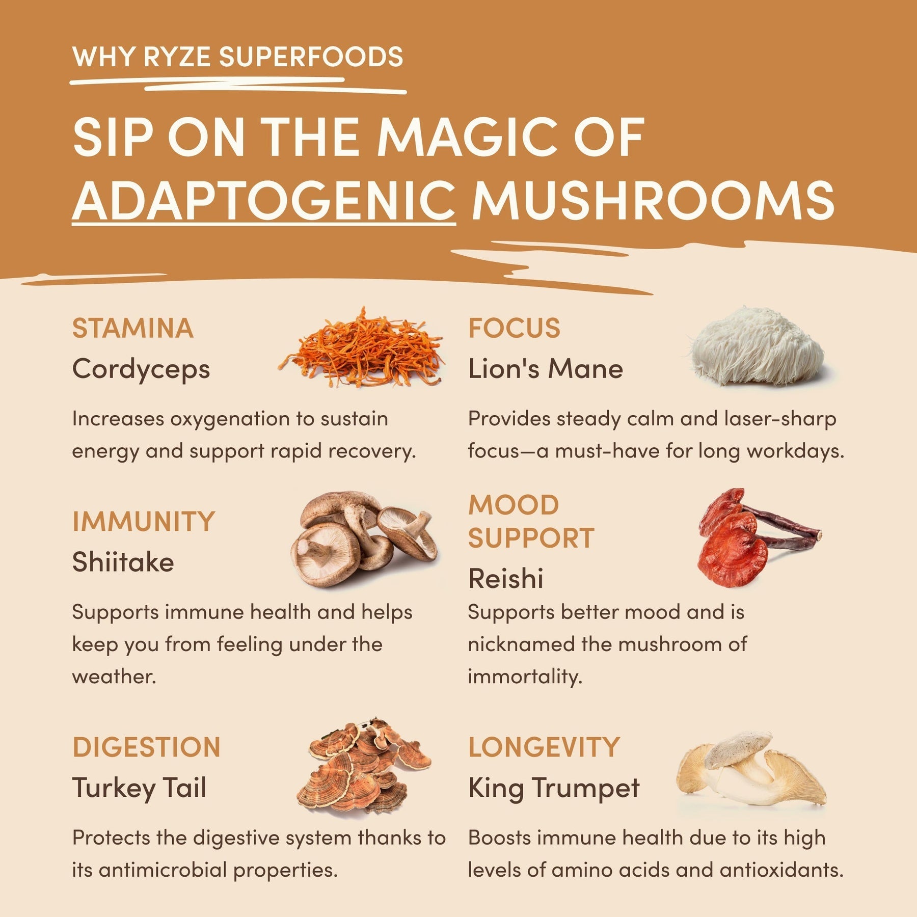 Mushroom Overnight Oats 14 Servings - TWC9