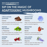 Mushroom Hot Cocoa (20 servings) - 9884