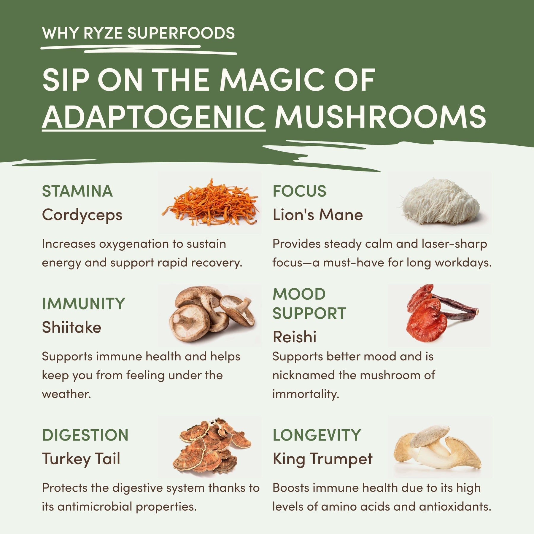 Mushroom Matcha (1 Pack - 30 Servings) - GPOI