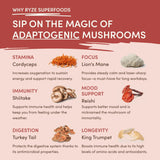 Mushroom Chai (1 Pack - 20 Servings) - AHT3