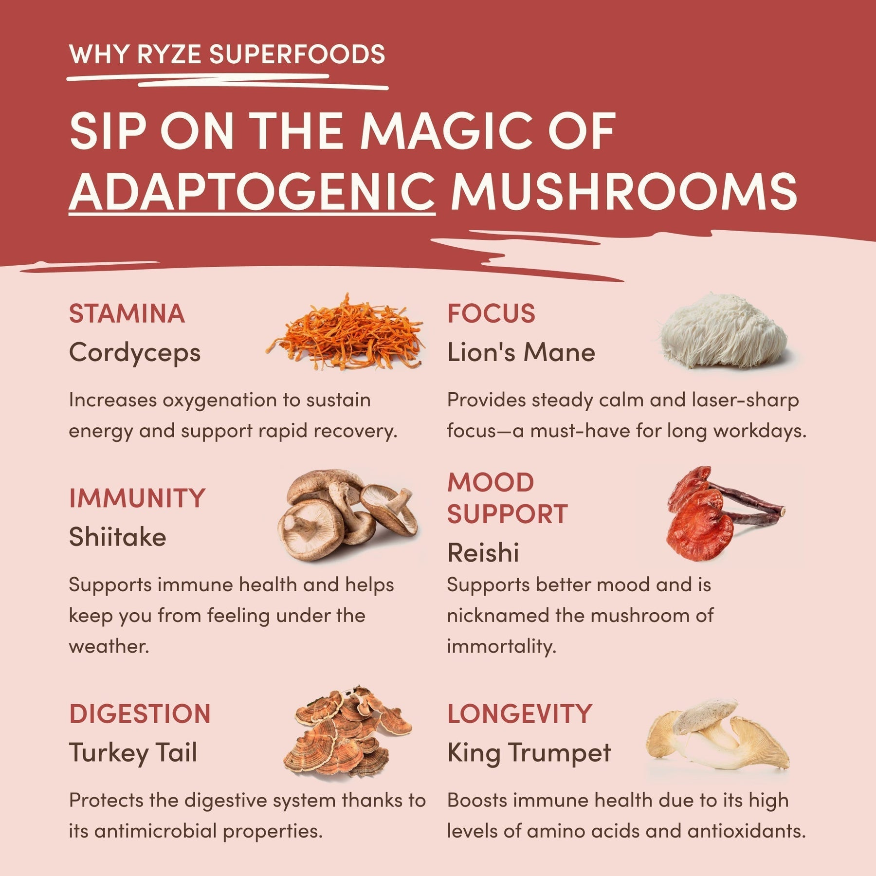 Mushroom Chai (1 Pack - 20 Servings) - AHT3