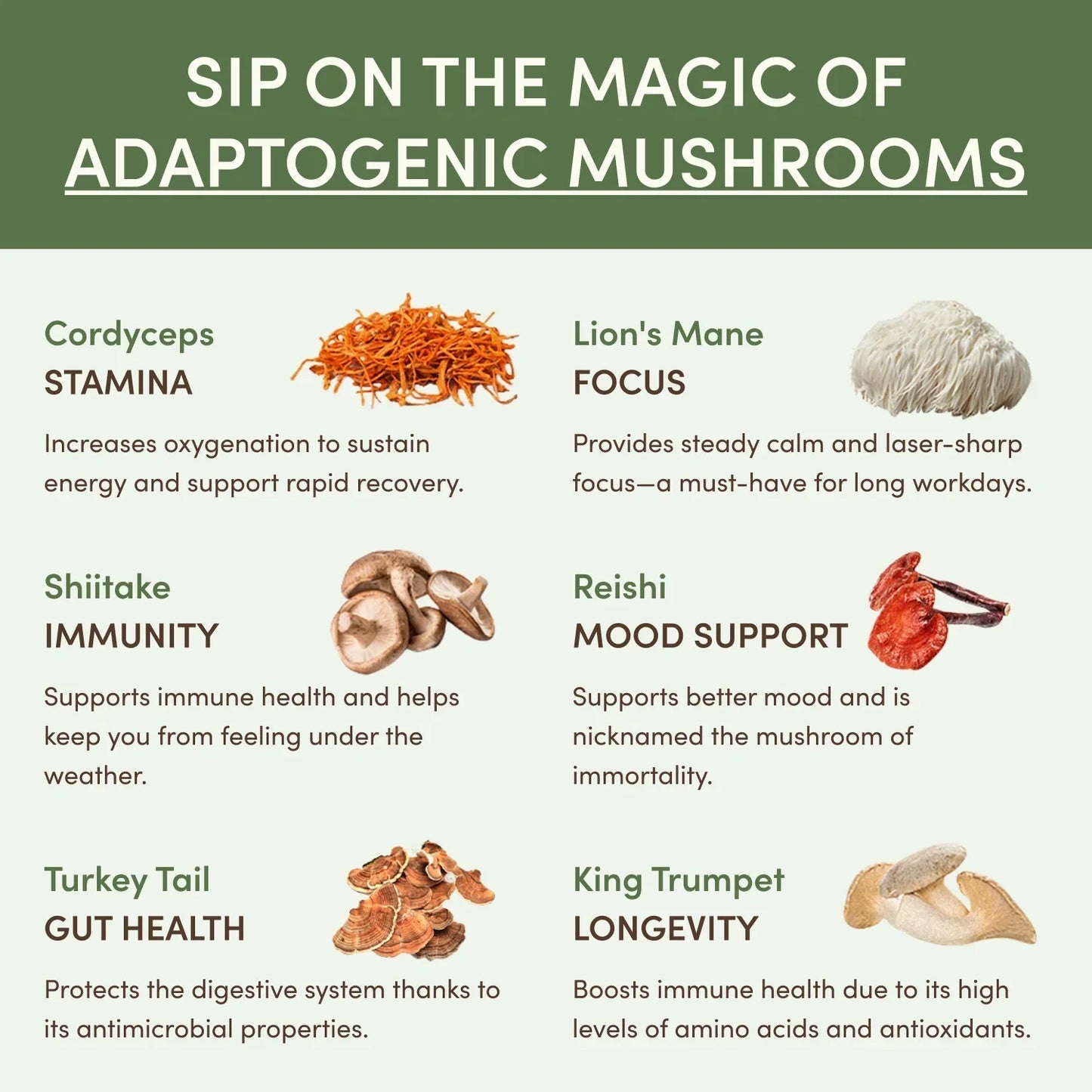 Mushroom Matcha Starter Kit (60 Servings) - 8IUL