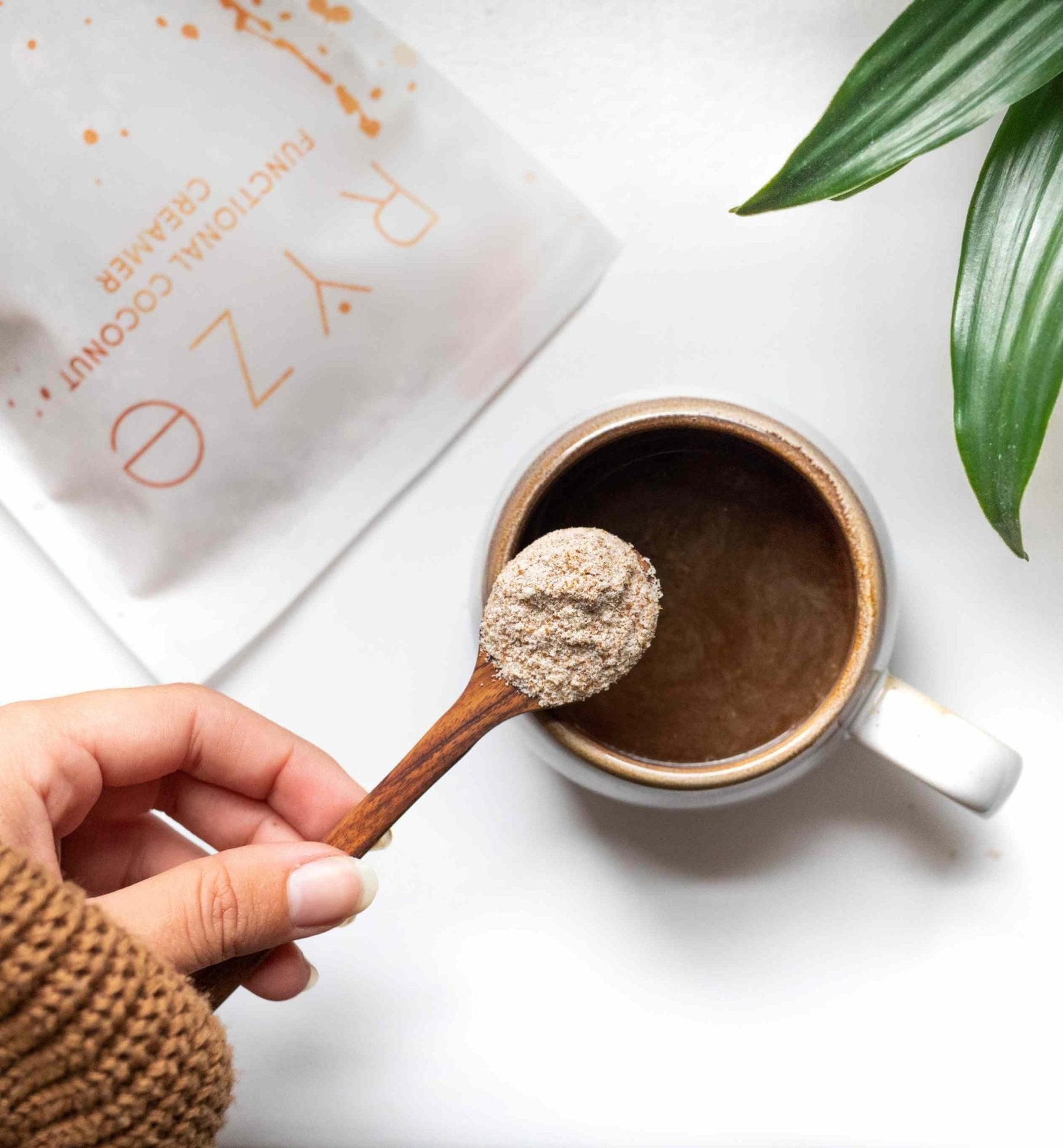 Probiotic Creamer (SPECIAL PRICING) - 2YV5