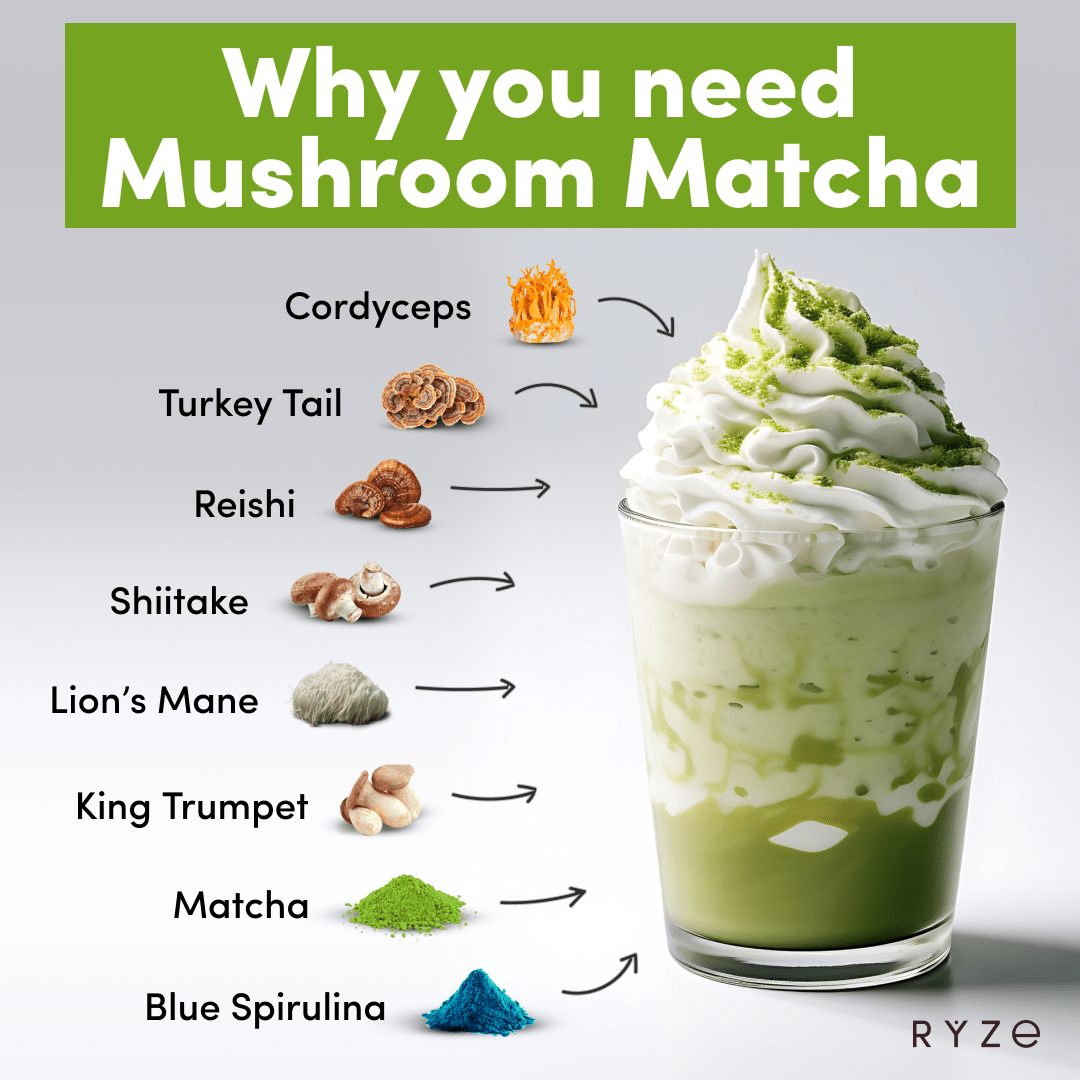RYZE Mushroom Matcha - with 6 Organic Adaptogenic Mushrooms Grown In USA and Ceremonial-Grade Japanese Matcha - F4YO