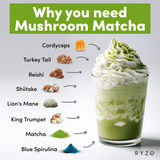 RYZE Organic Mushroom Matcha Starter Kit (60 servings) - L23R