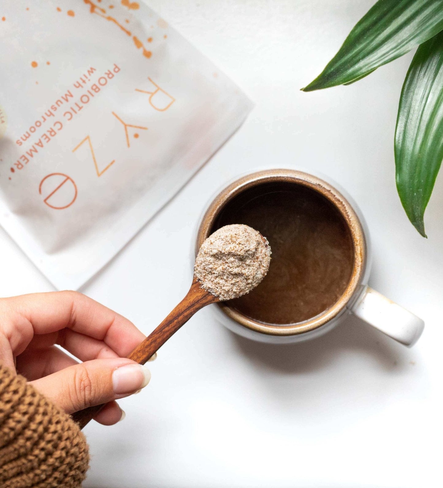 Try our Probiotic Creamer for 50% OFF! - XDGH